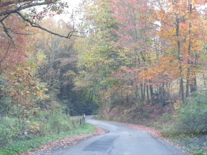 Wright Mountain, Rock, WV